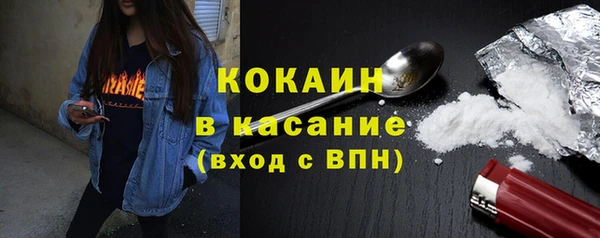 ПСИЛОЦИБИНОВЫЕ ГРИБЫ Арсеньев