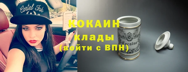 ПСИЛОЦИБИНОВЫЕ ГРИБЫ Арсеньев
