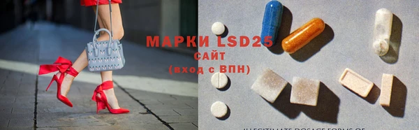 ПСИЛОЦИБИНОВЫЕ ГРИБЫ Арсеньев