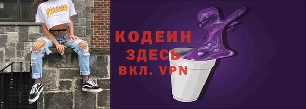 ПСИЛОЦИБИНОВЫЕ ГРИБЫ Арсеньев