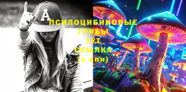 ПСИЛОЦИБИНОВЫЕ ГРИБЫ Арсеньев