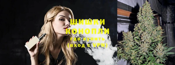 ПСИЛОЦИБИНОВЫЕ ГРИБЫ Арсеньев