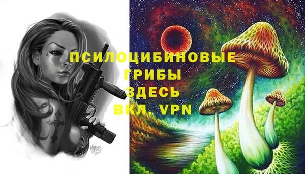 скорость Аркадак