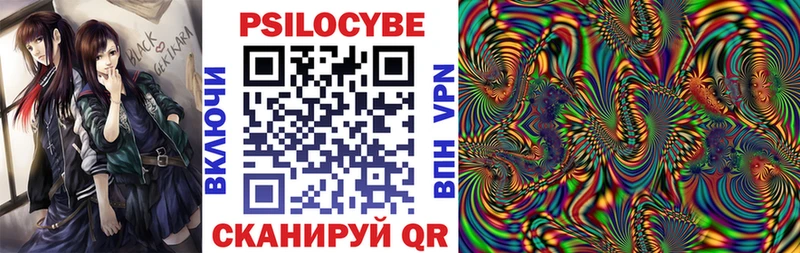 Псилоцибиновые грибы Psilocybine cubensis  Купить закладки  Калининград 